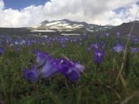 Aragats mountain